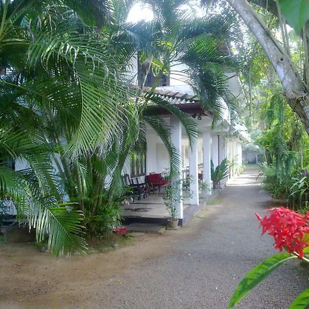 Hotel Sea Front Hikkaduwa Exterior foto