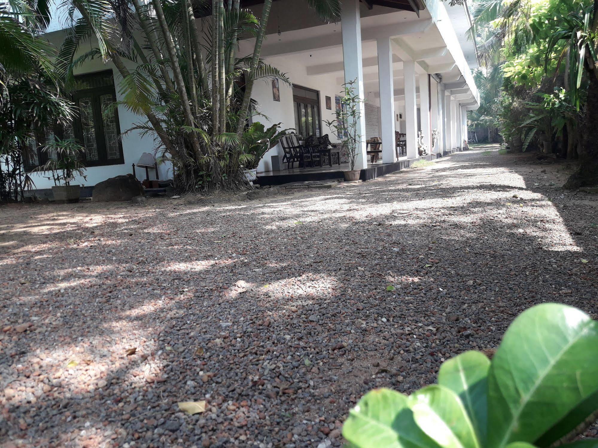 Hotel Sea Front Hikkaduwa Exterior foto