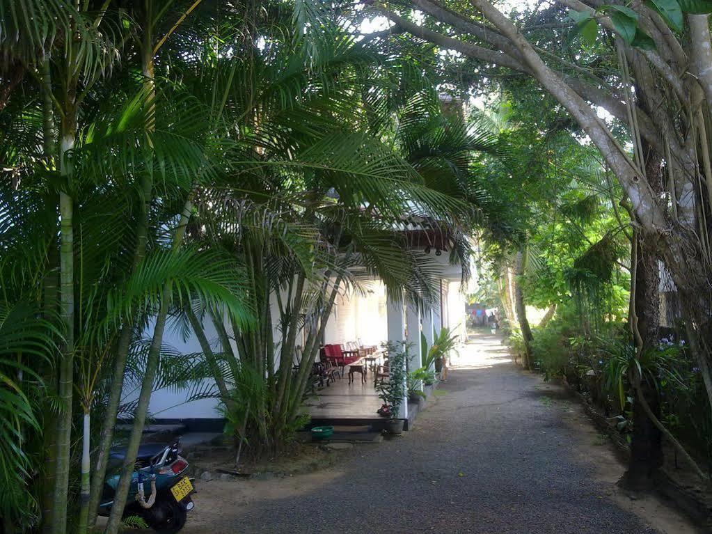 Hotel Sea Front Hikkaduwa Exterior foto