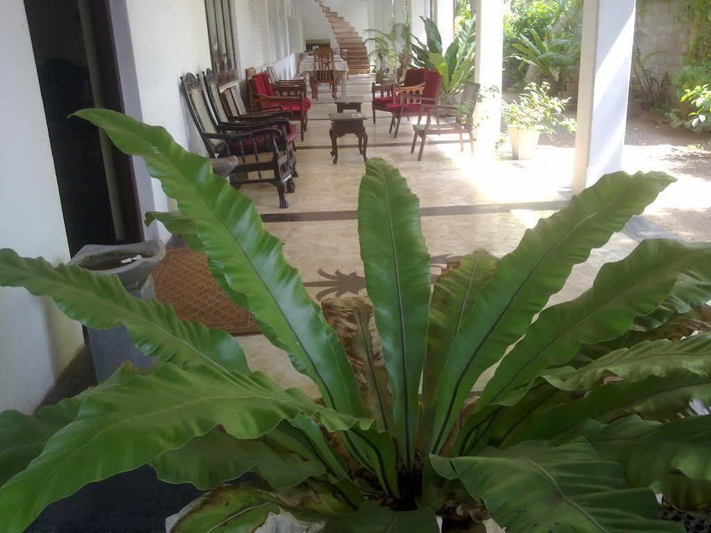 Hotel Sea Front Hikkaduwa Exterior foto