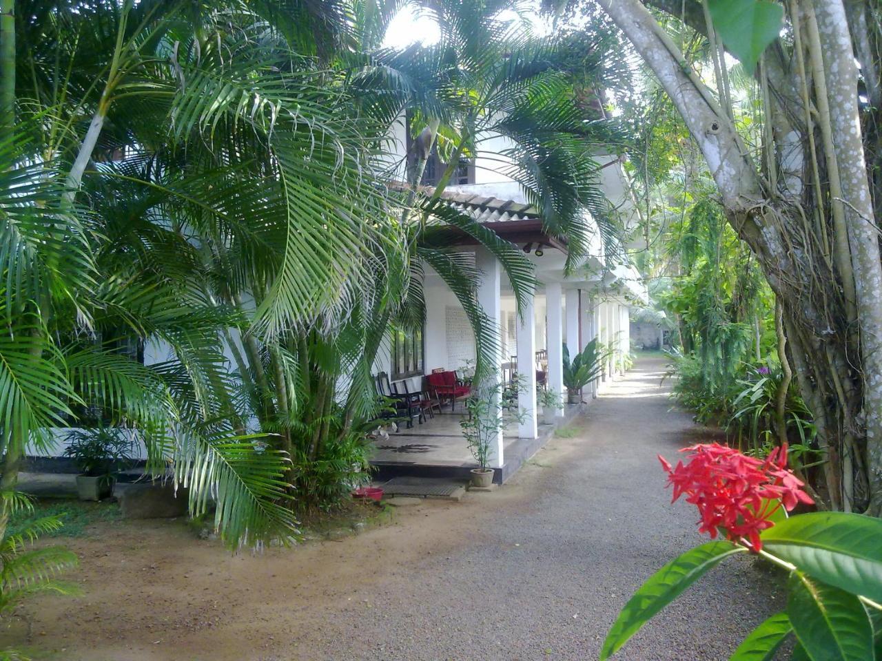 Hotel Sea Front Hikkaduwa Exterior foto